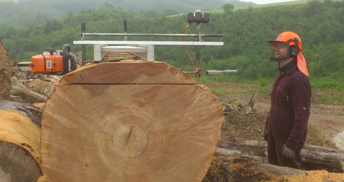 Chainsaw milling services