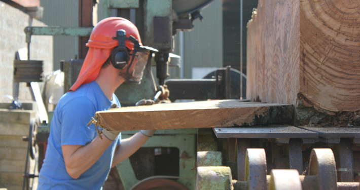 Hardwood Sawmill