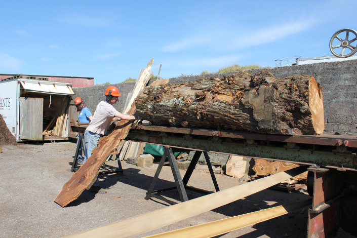 Hardwood Sawing